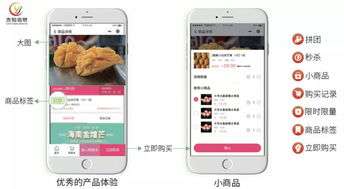 水產(chǎn)行業(yè)協(xié)會(huì)如何利用社區(qū)團(tuán)購(gòu)系統(tǒng)與互聯(lián)網(wǎng)信息服務(wù)提升會(huì)員商家銷量