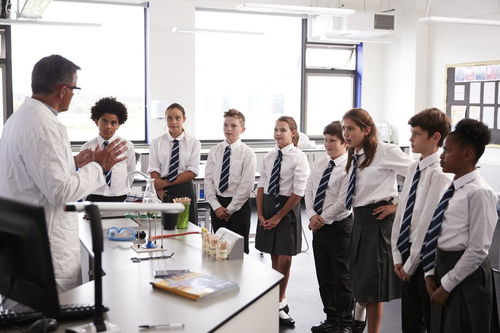 酒店管理規(guī)章制度 構(gòu)建高效運營與優(yōu)質(zhì)服務(wù)框架